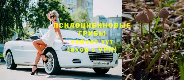 mix Вяземский