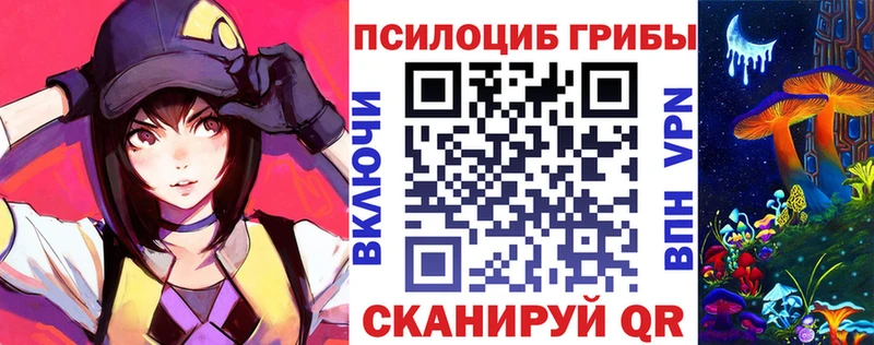 где купить наркоту Дербент Псилоцибиновые грибы Cubensis